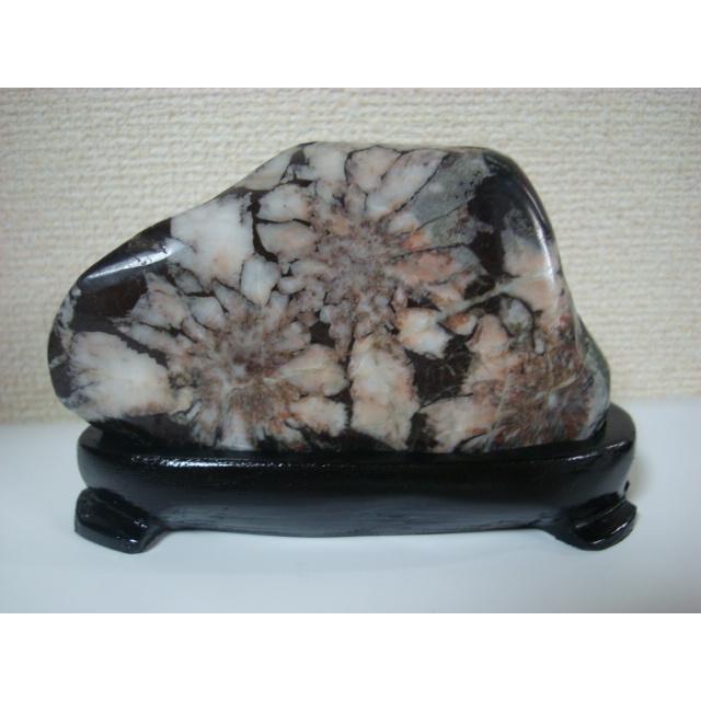 根尾谷産菊花石67 : 白山紋石庵 - 通販 - Yahoo!ショッピング