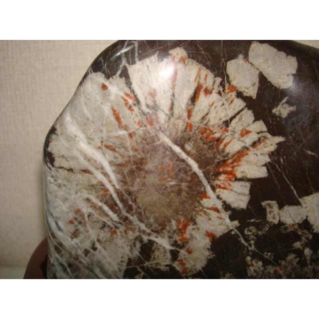 根尾谷産菊花石73 : 白山紋石庵 - 通販 - Yahoo!ショッピング