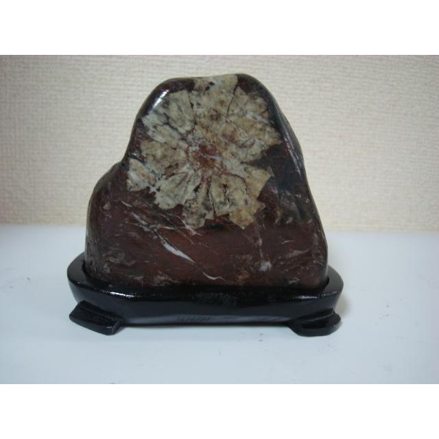 根尾谷産菊花石76 : 白山紋石庵 - 通販 - Yahoo!ショッピング