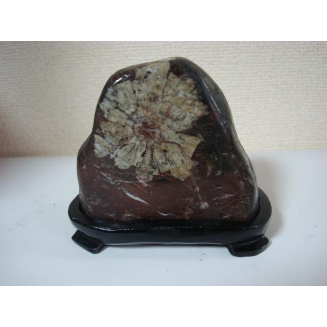 根尾谷産菊花石76 : 白山紋石庵 - 通販 - Yahoo!ショッピング