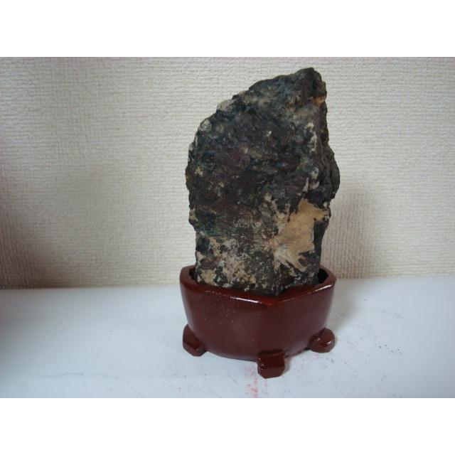 菊花石 岐阜県根尾谷産1.3㌔ 鑑賞石 観賞石 水石 盆石 天然石