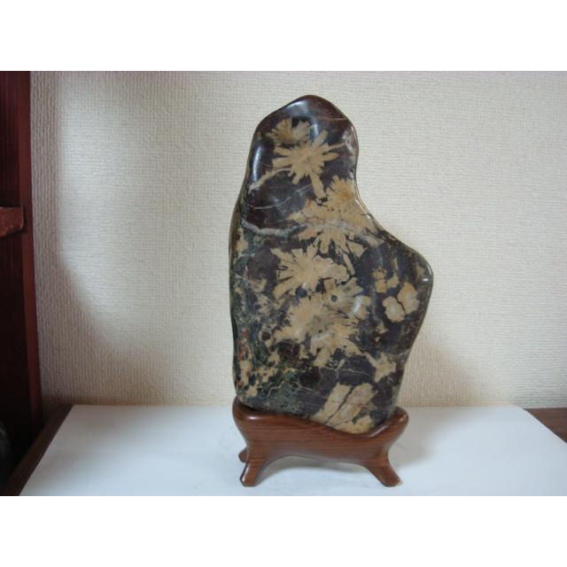 根尾谷産菊花石110 : 白山紋石庵 - 通販 - Yahoo!ショッピング