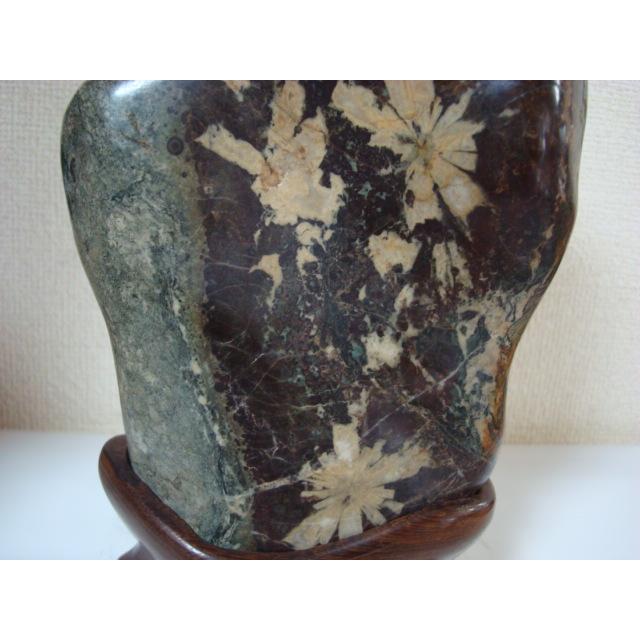 根尾谷産菊花石110 : 白山紋石庵 - 通販 - Yahoo!ショッピング