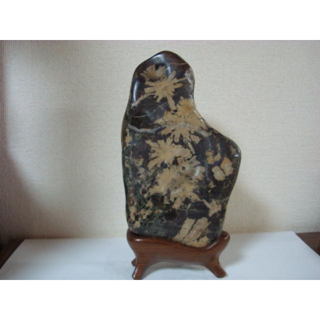 根尾菊花石 岐阜県根尾谷産『菊花石 小』1kg以上 | 東京書芸館公式通販ウェブ