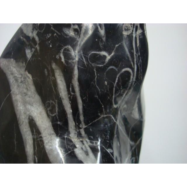 シカマイア2 : 白山紋石庵 - 通販 - Yahoo!ショッピング