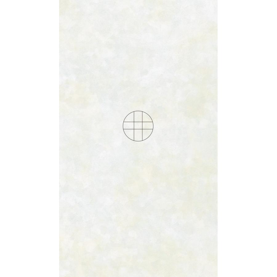 潜象道シリーズV（5）発生学とカタカムナ　配送ポイント：4[M便 4/19] |  | 01