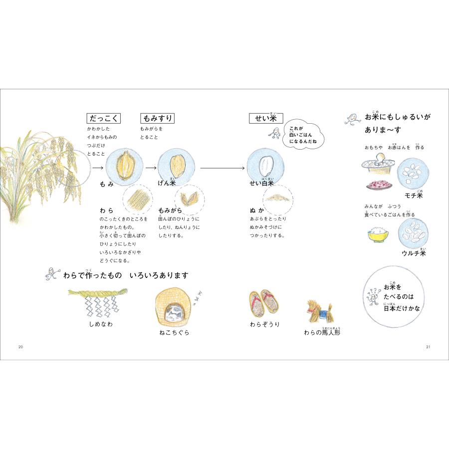 新・ごはん　食べることは、生きること　配送ポイント：6[M便 6/19] |  | 02