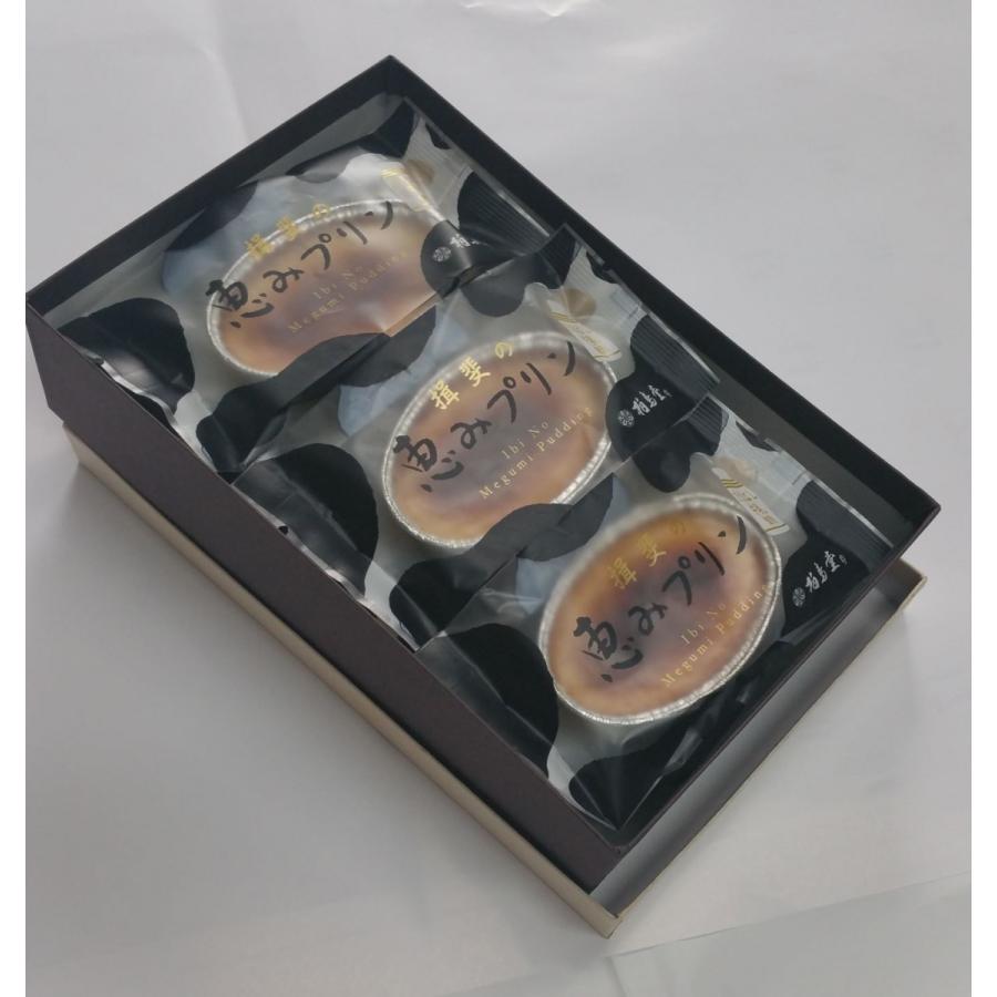 揖斐 いび の恵プリン パリパリ バニラビーンズ 6個入 柏鳥堂 はくちょうどう 冷凍発送 プリン お取り寄せ 老舗 ギフト 母の日 お歳暮 Hakutyoudou まごころ菓柏鳥堂 通販 Yahoo ショッピング