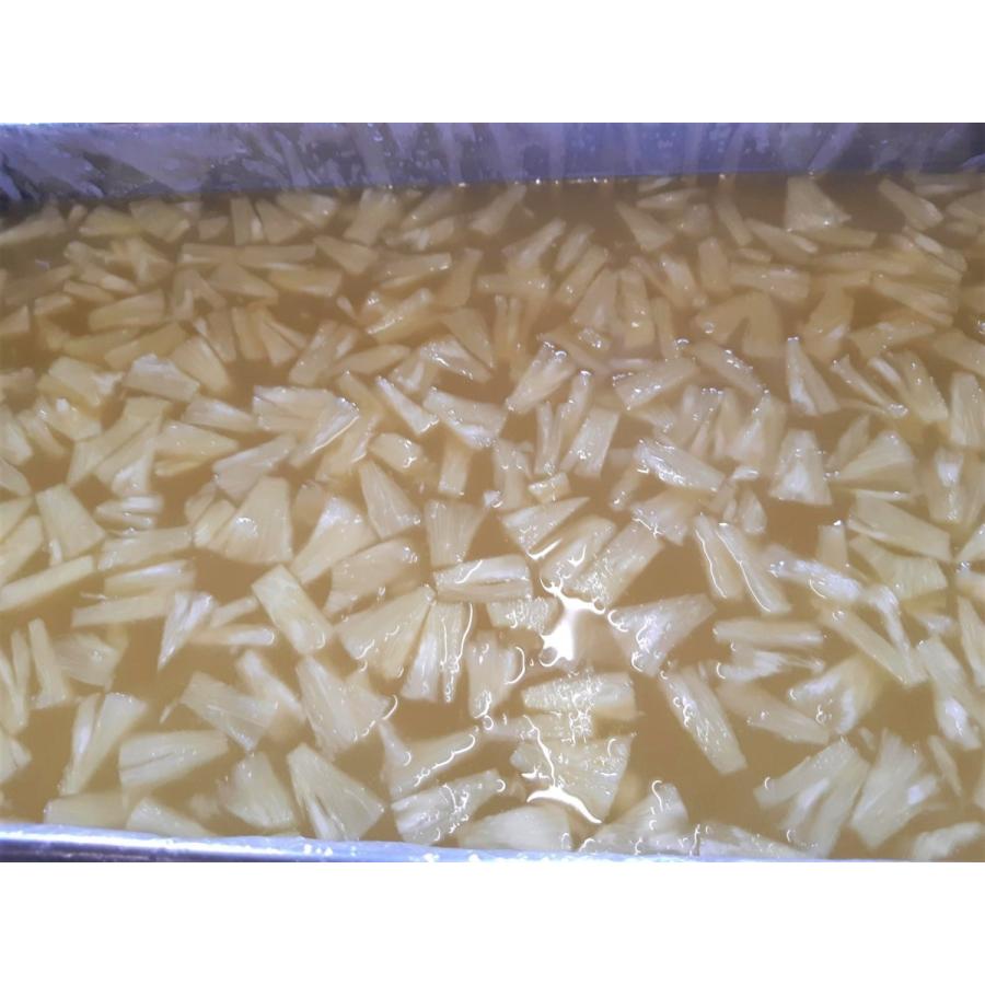 最大54 オフ 葛アイス 冷凍発送 プレゼント ギフト パイン味10本入り お中元 老舗 柏鳥堂 子供からご年配の方まで おすすめ 氷菓 Materialworldblog Com