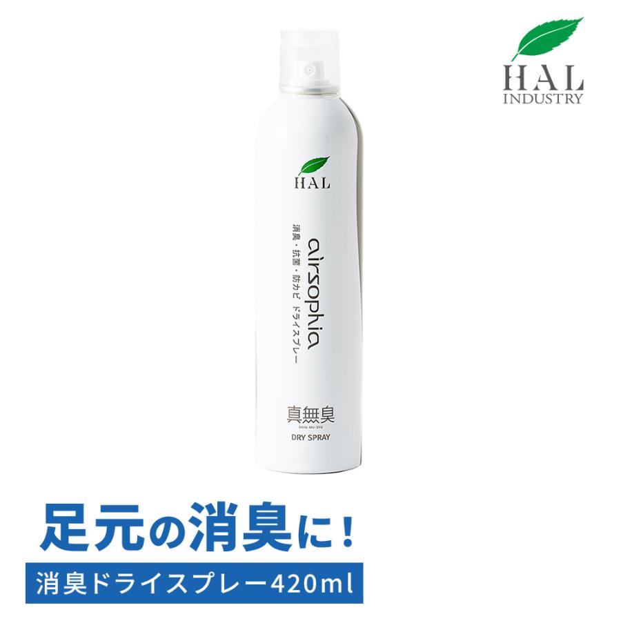 消臭ドライスプレー 420ml | 靴 消臭 足 靴の臭い 対策 運動靴 安全靴 通勤靴 スリッパ におい消し 玄関マット ブーツ 靴下 強力 防菌 速乾 消臭スプレー 無香料 | ハル・インダストリ