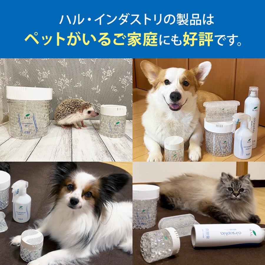 除菌消臭ミスト 詰め替え用 5L 空容器セット| 消臭剤 無香料 無臭 業務用 除菌 無香料 衣類 靴 カーテン オフィス 衣類スプレー 大容量 ハル・インダストリ | ハル・インダストリ | 15