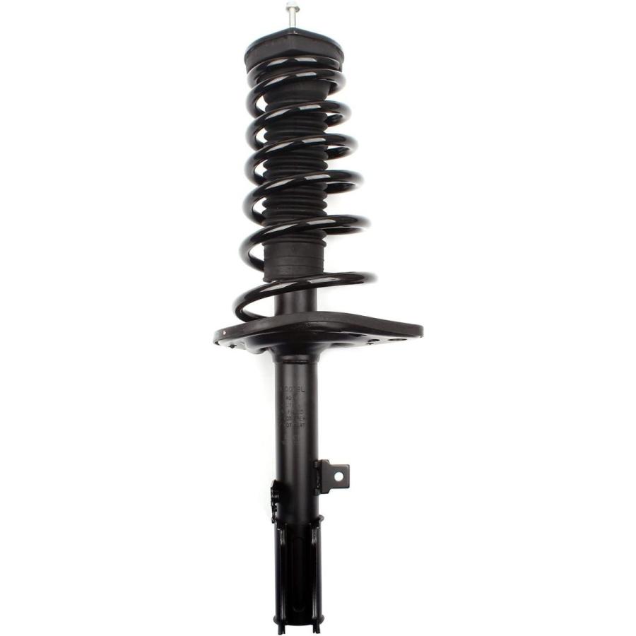 SCITOO Rear Complete Strut Coil Spring Assembly for 172310 172309 fits