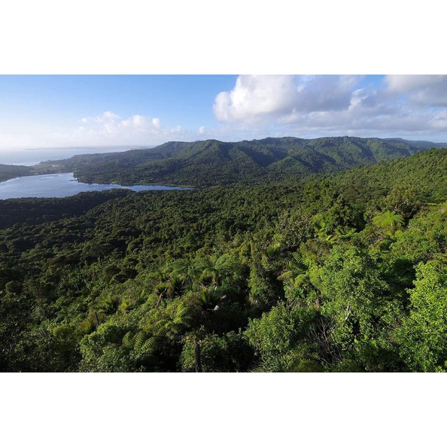 Pentax K-1 Mark II w/ D-FA 28-105 WR Lens: 36.4MP Full Frame High Reso