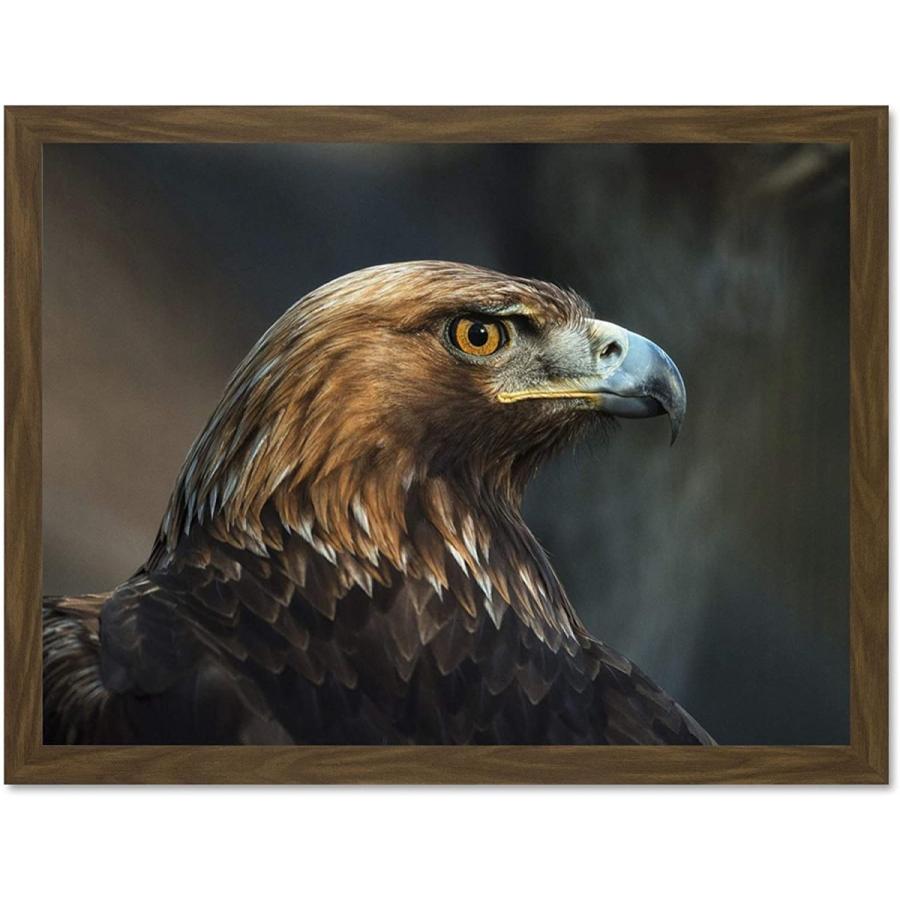 【高知インター店】 Photo Animal LTD Doppelganger33 Bird Hang　並行輸入品 to Ready Supplied inch 18x24 Decor Wall Poster Print Art Framed Large Head Eagle Golden Prey オブジェ、置き物