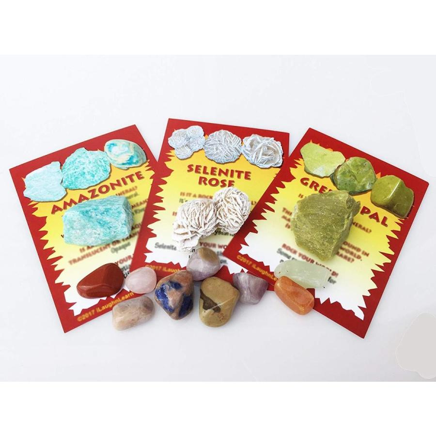 期間限定送料無料 教育 トラッドとilaughnlearnロックマイワールド ロック ミネラルコレクション 即納 最大半額 Www Cepici Ci