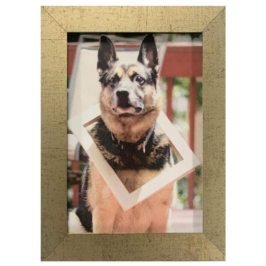 US Art Frames 8.5 by 11-Inch Wall Decor Picture Poster Frame, Smooth W