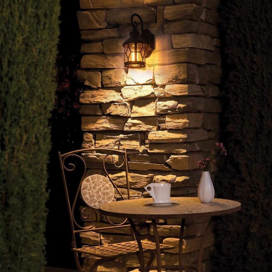 Fanyate Outdoor Wall Lantern Industrial Exterior Wall Sconce with Seed