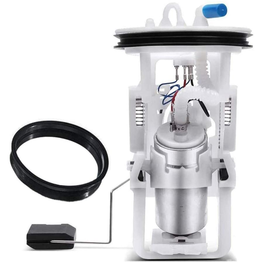 絵画 油彩画（油絵）F10 江成一郎（えなり いちろう）「白鳥の夜」 白