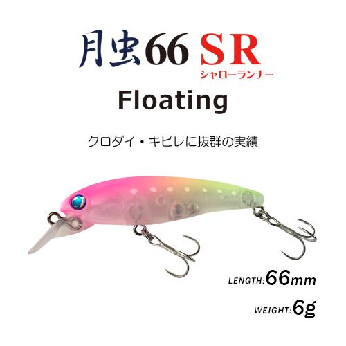 月虫66 シャローランナー | 