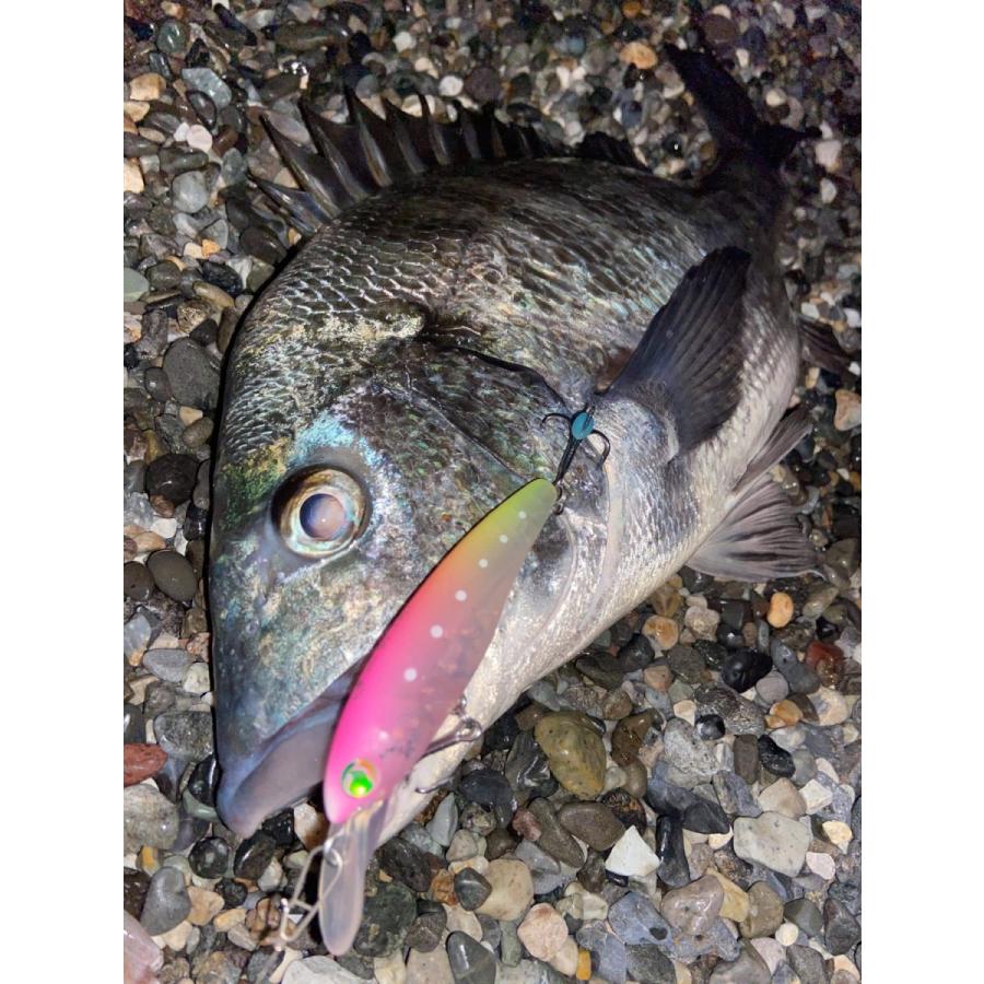 月虫66 シャローランナー |  | 27