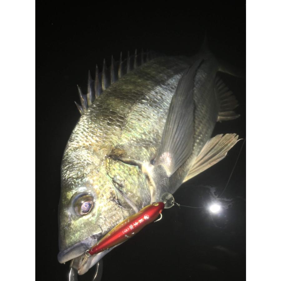 月虫66 シャローランナー |  | 28