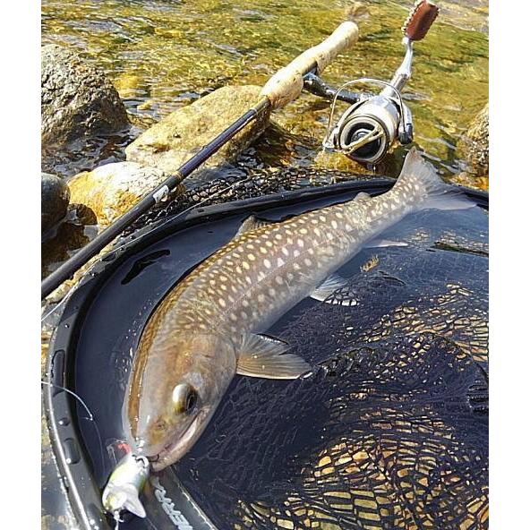 月虫66 激沈 |  | 19