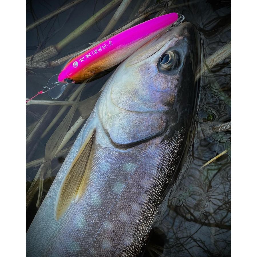 月虫77 超激沈 |  | 10