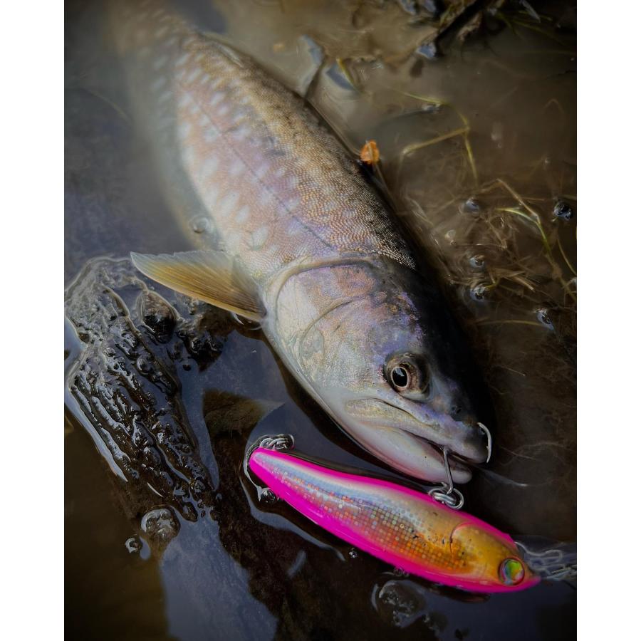 月虫77 超激沈 |  | 09