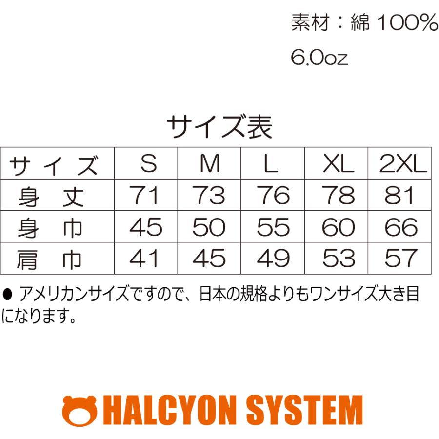 超特価 ハル ハルシオンシステム Tシャツ Aynaelda Com