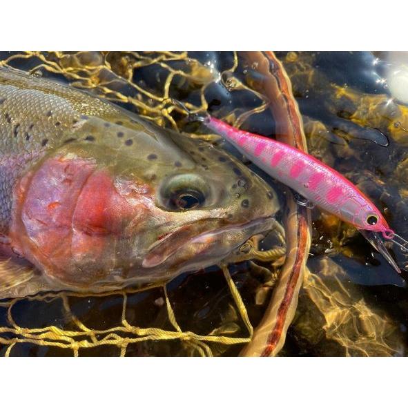 Lapse73 S Native |  | 12