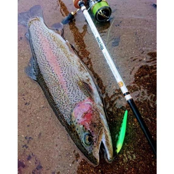 Lapse73 S Native |  | 13