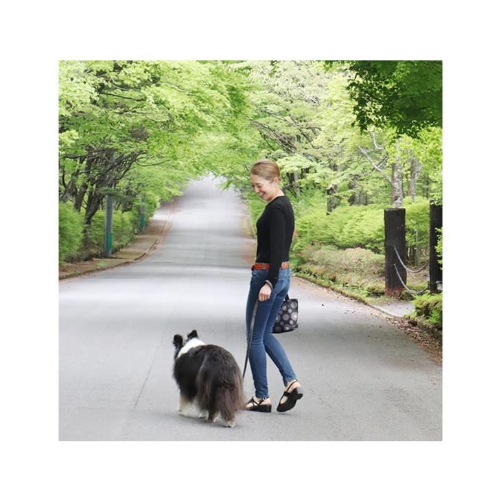 お散歩バッグ 犬 ペット ミニトートバッグ ハンナフラ 軽量 Hanna Hula【2点までネコポスOK】 | Hanna Hula | 20