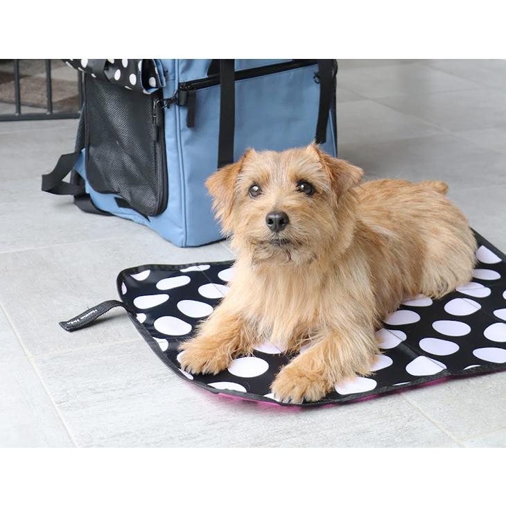 カフェマット ハンナフラ 犬 ペット Hanna Hula ネコポス利用ok 5点まで Cmt Cafemat ハンナフラyahoo 店 通販 Yahoo ショッピング