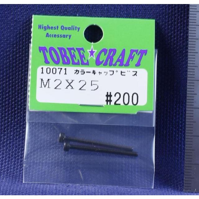 TOBEE CRAFT (トビークラフト)  カラーキャップビス M2X25　2個入り　黒　全ネジ |  | 01