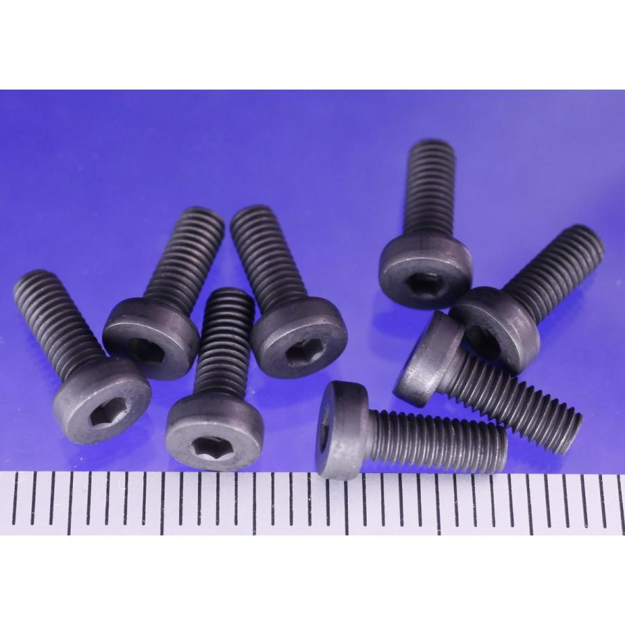 TOBEE CRAFT (トビークラフト)  ローヘッドキャップビス M3X8 | 