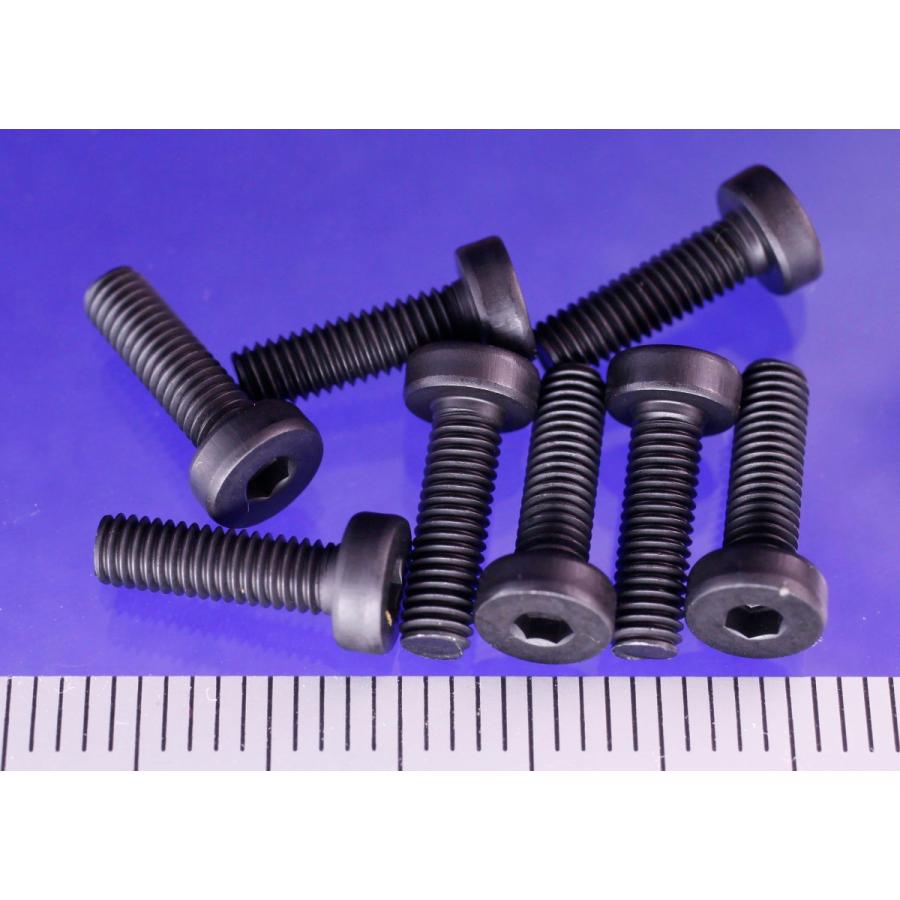 TOBEE CRAFT (トビークラフト)  ローヘッドキャップビス M3X10 | 