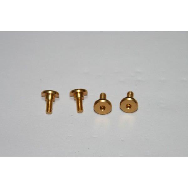 TOBEE CRAFT (トビークラフト)  六角孔付アルミサーボ取付ネジ ゴールド |  | 01