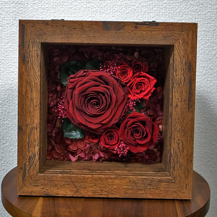 額縁入　屛風　花籠　配送何 magnet フラワーフレーム SPECIMEN FRAME 20×20cm 木製 フレームのみ