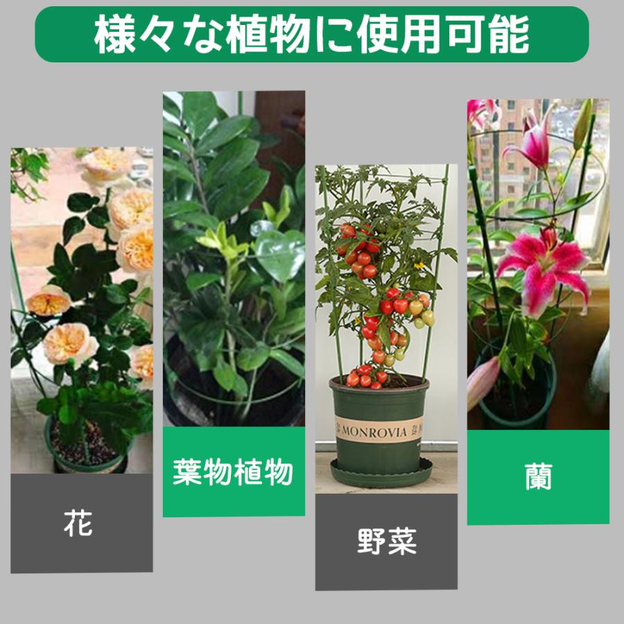 Demet 園芸用品支柱 植木鉢サポートセット 植物支柱 盆栽用 リングガーデントレリスフラワーステンレススチールサポートク Tszショップ店 観葉支柱