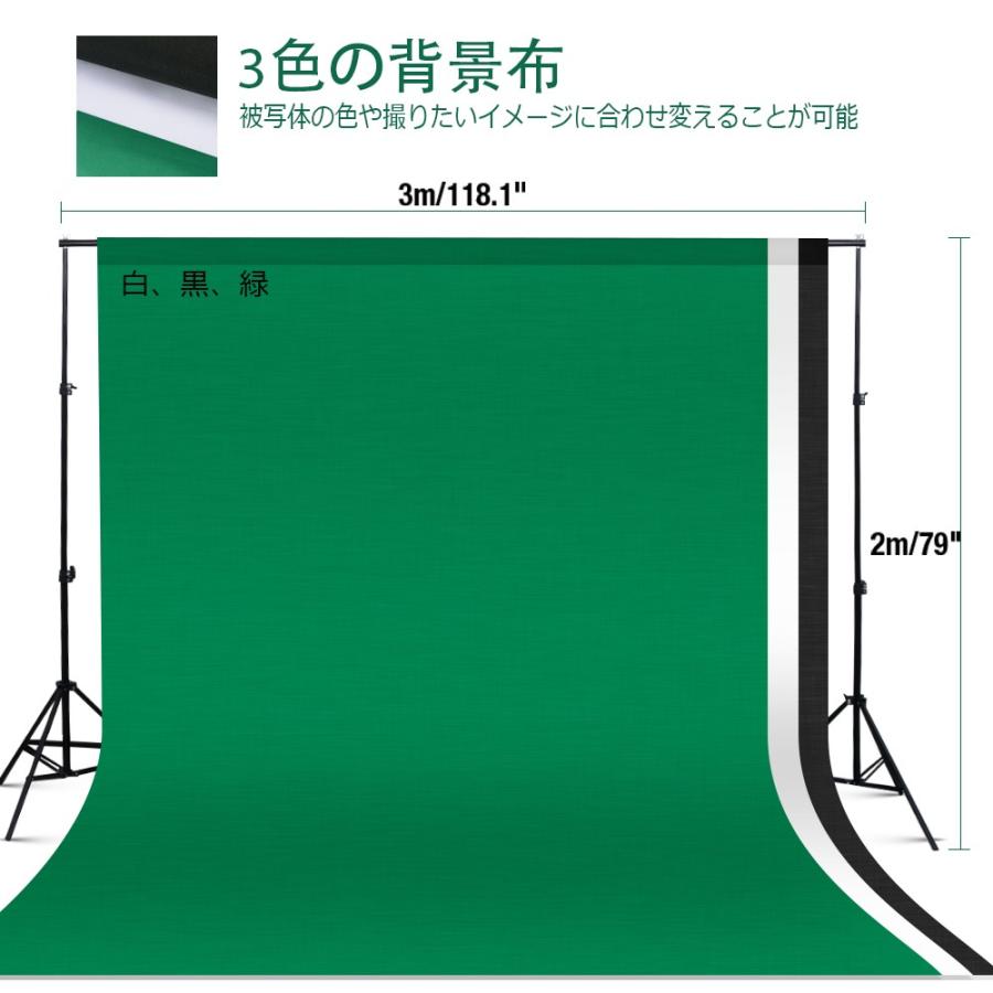 即納最大半額 ソフトボックス プロ級写真撮影 照明キット 背景布 白 黒 緑 三脚 125w E27電球 5500k 50 70cmソフトボックス キャリーバッグが付き Tk221 Tycka 人気ブランド Www Muslimaidusa Org