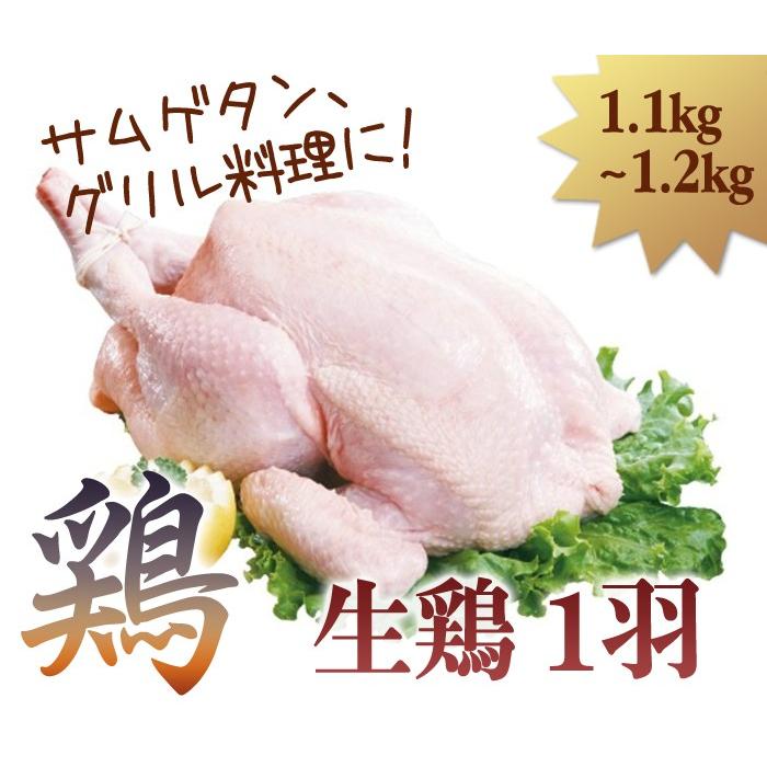 生鶏 1羽 オンラインショップ 1kg サムゲタン などのお料理に 参鶏湯 丸鶏肉 【54%OFF!】