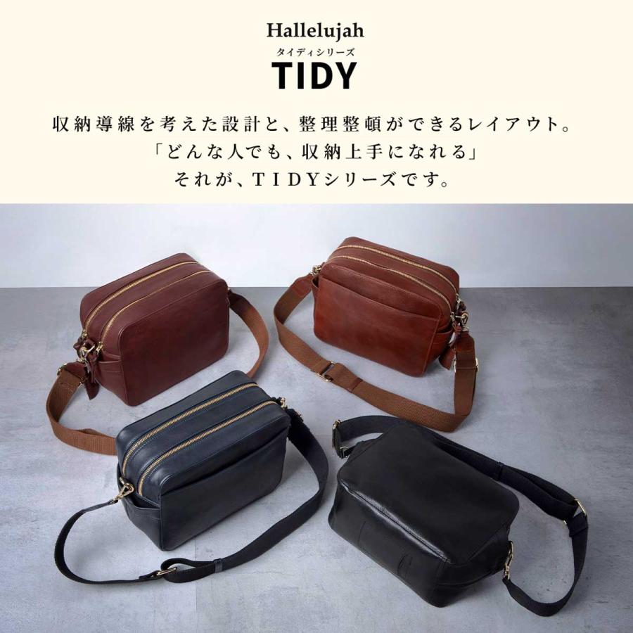 極美品　Hallelujah TIDY BOX Volta ショルダーバッグ Hallelujah ショルダー バッグ ボディバッグ イタリアンレザー