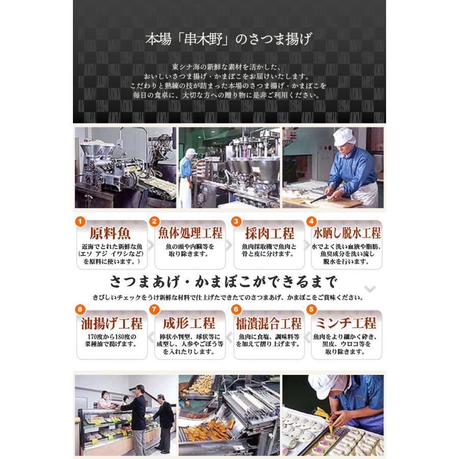 鹿児島 ひだかつけあげ 御詰合せ HS-225 / 送料無料 練り物 串木野
