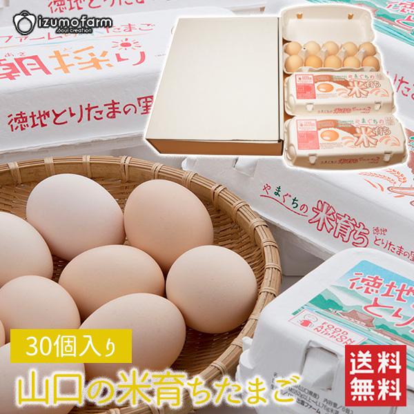 【送料無料】山口の米育ちたまご 30個 30玉 たまご 卵 生卵 新鮮卵 出雲ファーム (北海道・沖縄発送不可) (日本郵便にて発送)（Yahoo!・ハローデイ・ヤフーショップ）