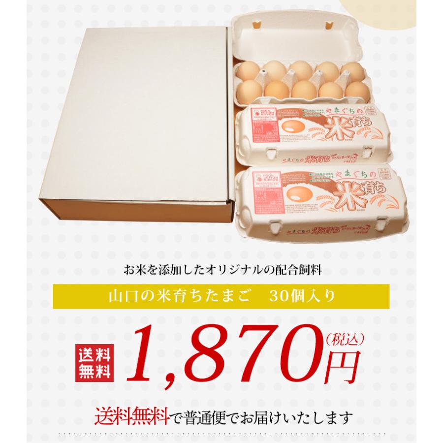 送料無料】山口の米育ちたまご / 30玉 たまご 卵 生卵 新鮮卵 専用農場 農家直送 出雲ファーム :10001628:ハローデイ・ヤフーショップ - 通販 - Yahoo!ショッピング 送料無料】山口の米育ちたまご / 30玉 たまご 卵 生卵 新鮮卵 専用農場 農家直送 出雲ファーム :10001628:ハローデイ・ヤフーショップ - 通販 - Yahoo!ショッピング