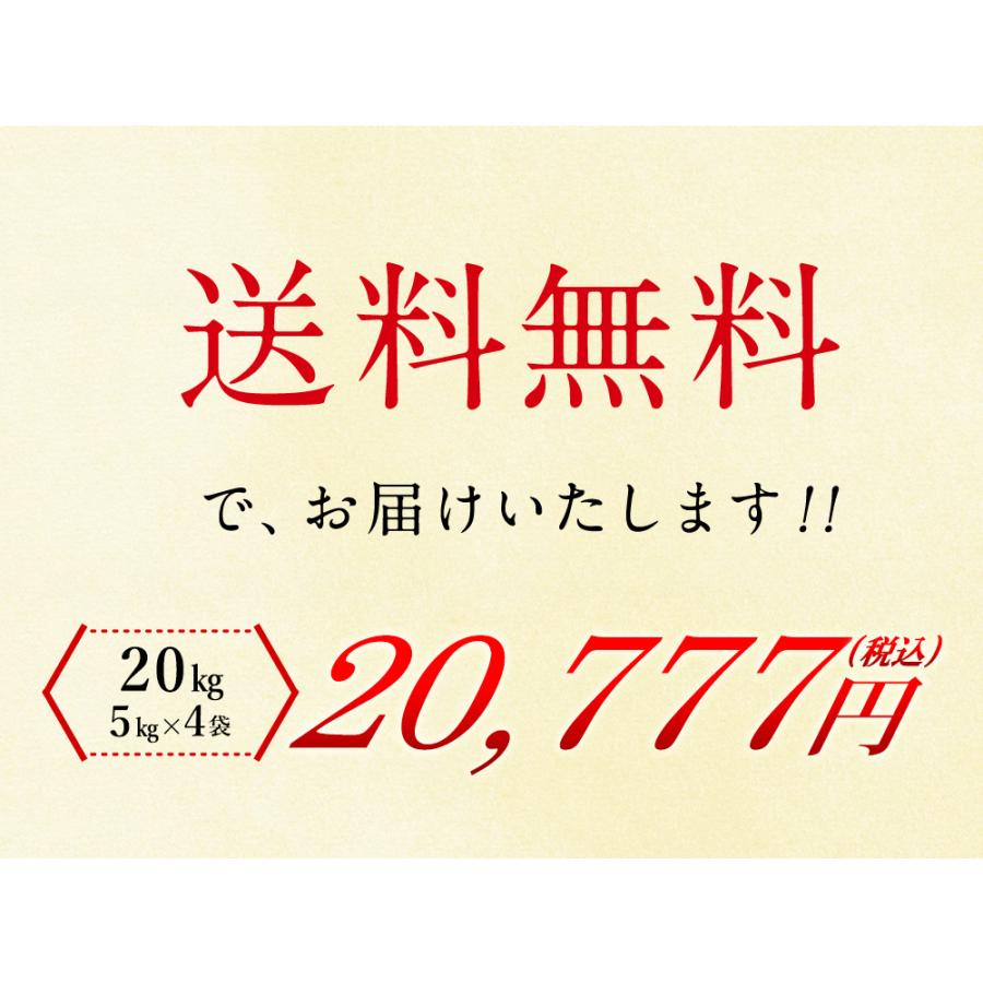 北海道産 ゆめぴりか 20kg(5kg×4袋) 送料無料 令和6年度産 20kg 北海道産 ゆめぴりか 20kg(5kg×4袋) 送料無料 令和6年度産 20kg