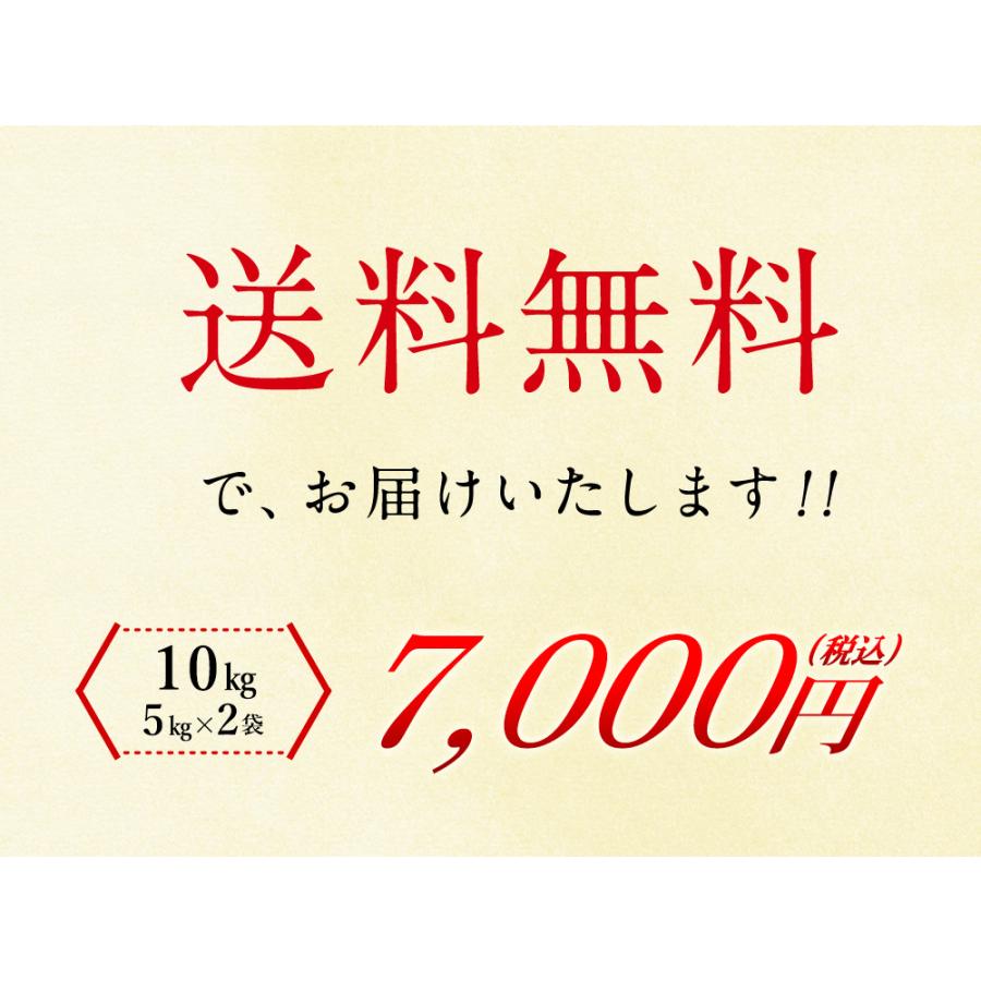 無洗米 北海道産ゆめぴりか10kg（5kg×2袋）/ 送料無料 令和5年度産 お米 10kg 北海道（北海道・沖縄別途送料）（配達日・時間指定は不可）｜halloday｜06