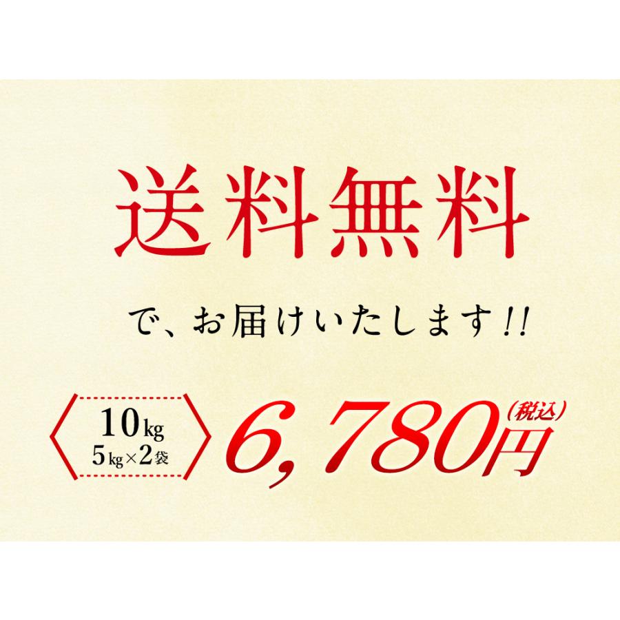 【ポイント5倍】新米 令和8年 無洗米 北海道産ゆめぴりか10kg (5kg×2袋) 送料無料  (北海道別途送料/沖縄・離島不可)(配達日・時間指定は不可） |  | 05