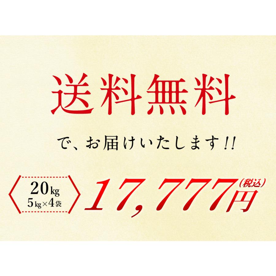無洗米 北海道産ゆめぴりか20kg（5kg×4袋) 送料無料 令和7年 (北海道