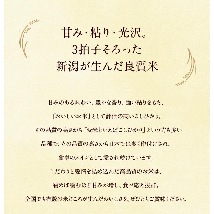 新潟県産 コシヒカリ 20kg(5kg×4袋)送料無料 令和7年 お米 米（北海道別途送料/沖縄・離島対応不可)_2